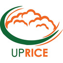 UP Rice Logo