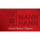 Mann Hann Logo